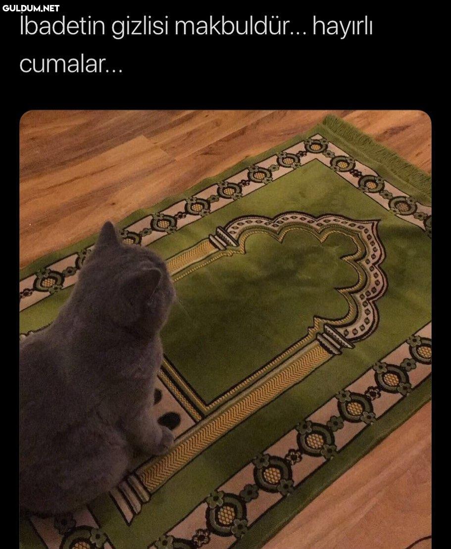 Hayırlı Cumalar Ibadetin...