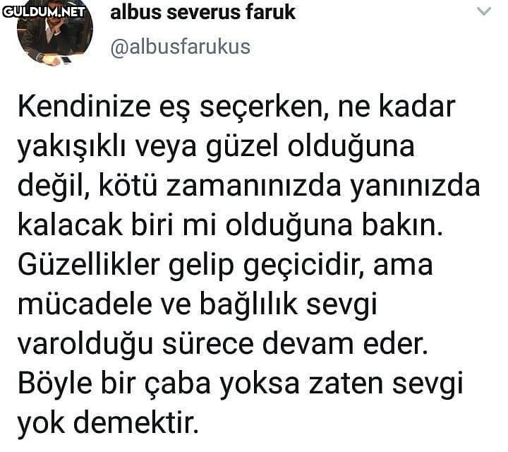 albus severus faruk...