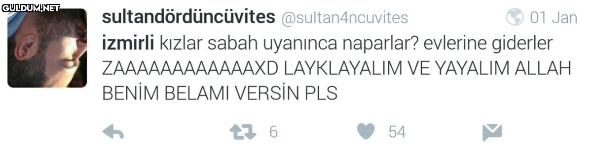 sultandördüncüvites...