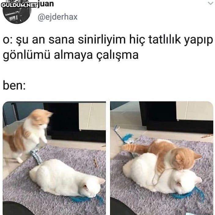 juan @ejderhax o: şu an...