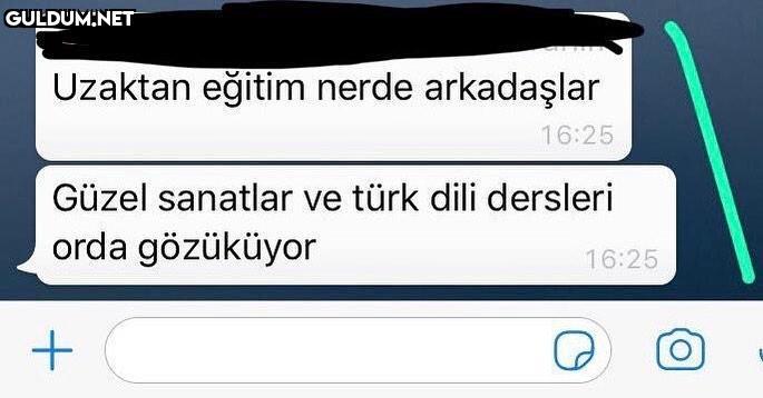 üniversiteye yeni...