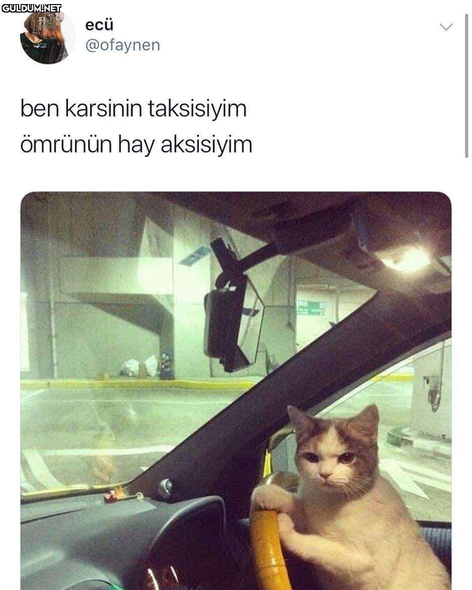 ecü @ofaynen ben karsinin...