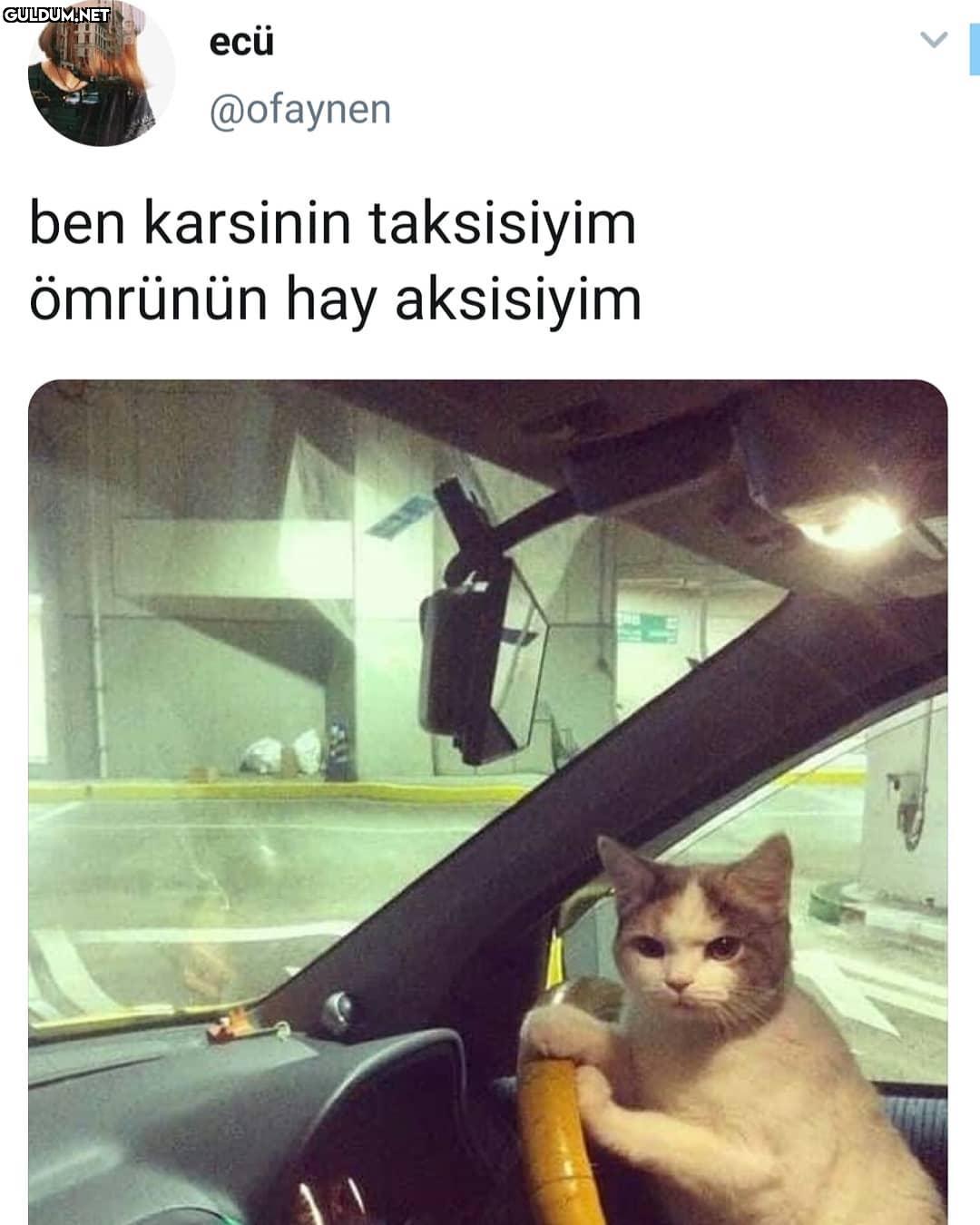 ecü @ofaynen ben karsinin...