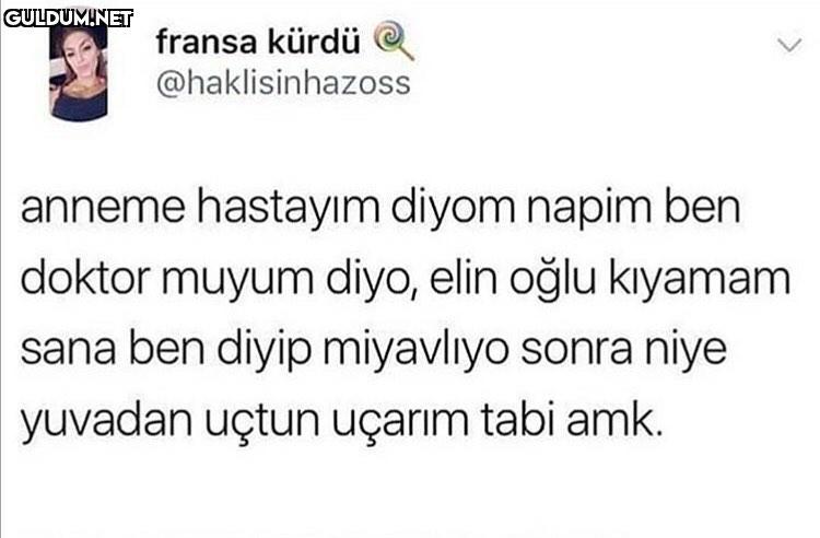 fransa kürdü...