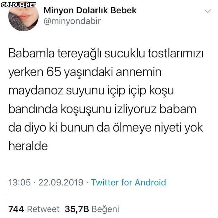 Minyon Dolarlik Bebek...