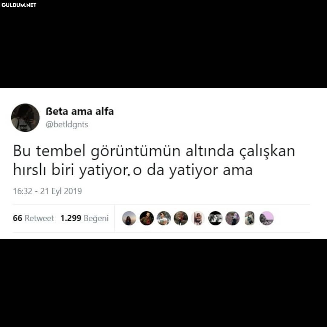Beta ama alfa @betldgnts...