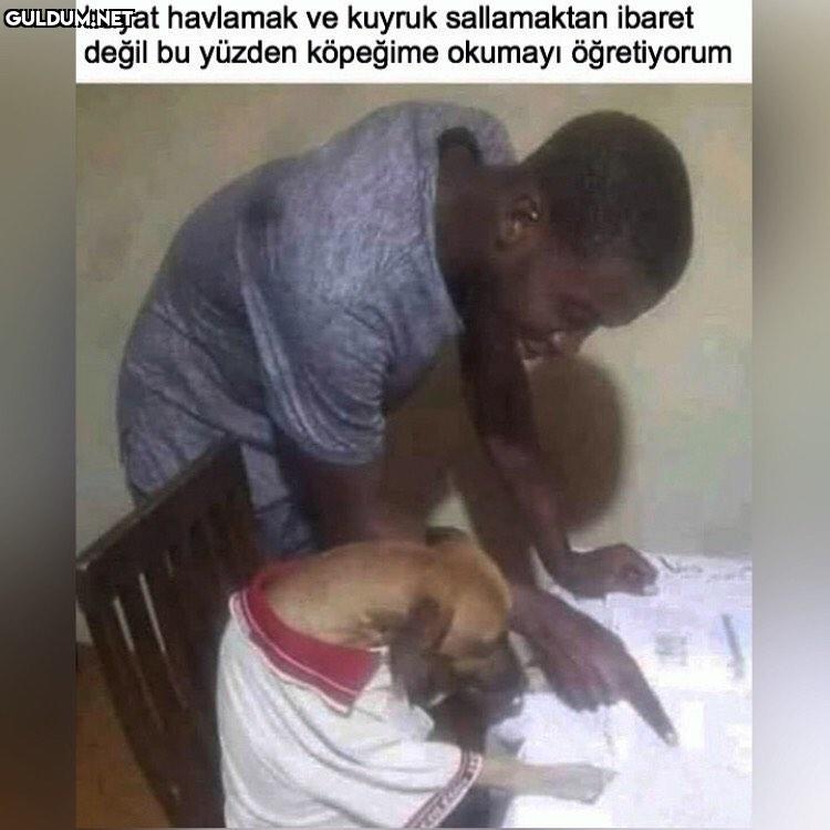 aferin kuçuya önlük bile...