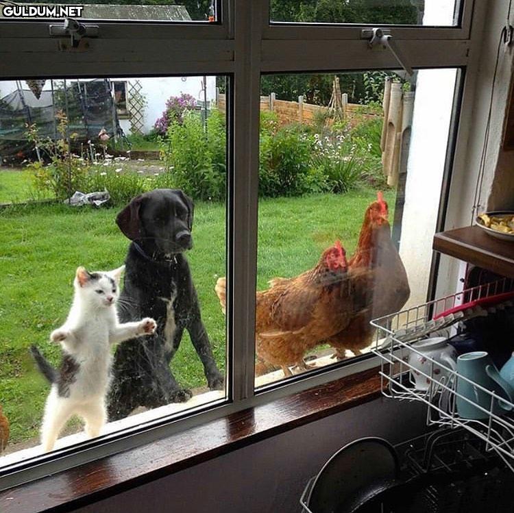 aile evinde kahvaltı...