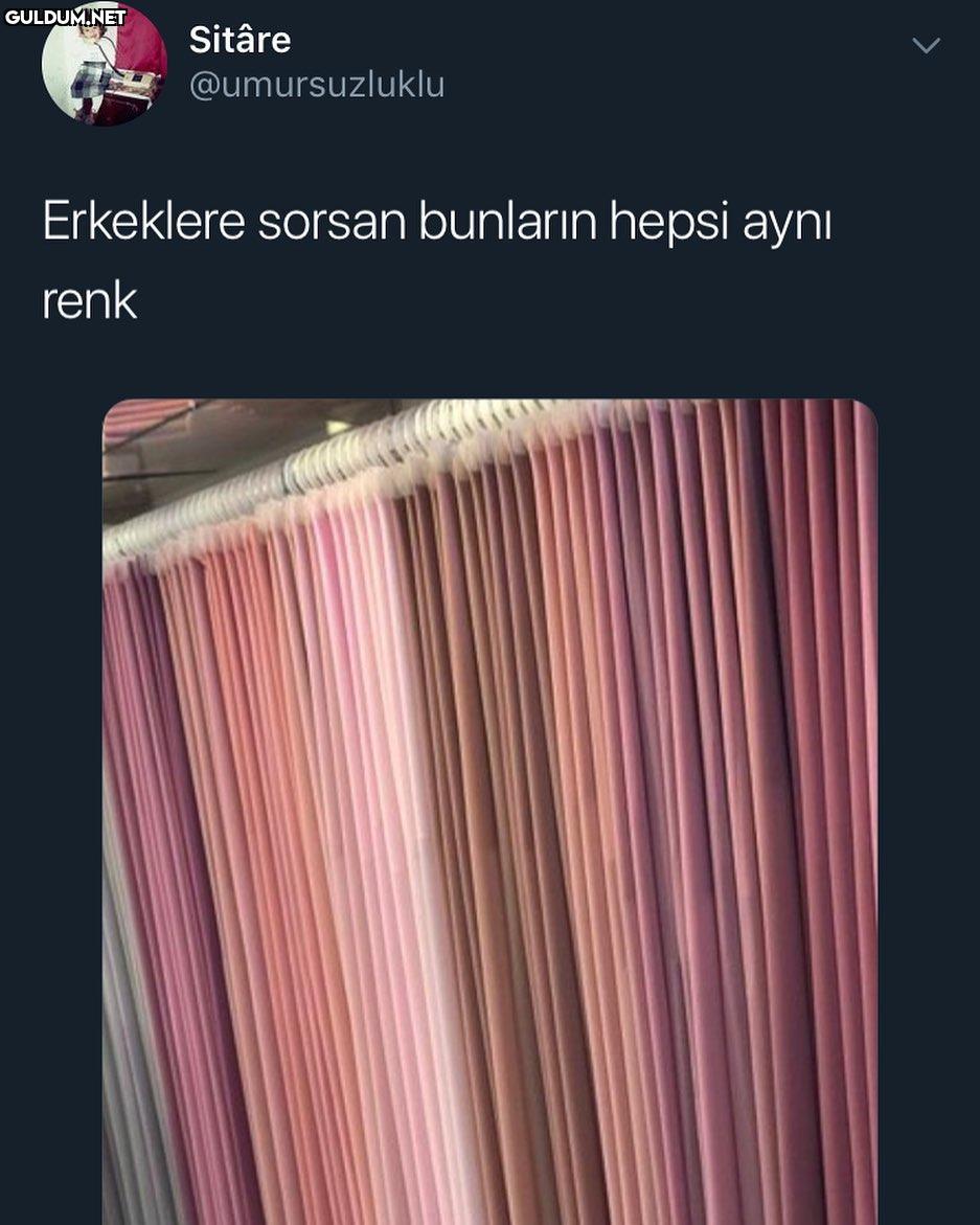 Bunların hepsi aynı renk...