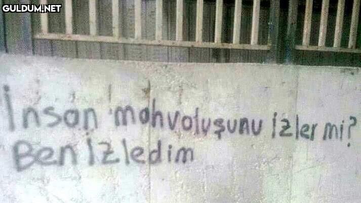 günaydın, cumartesi...