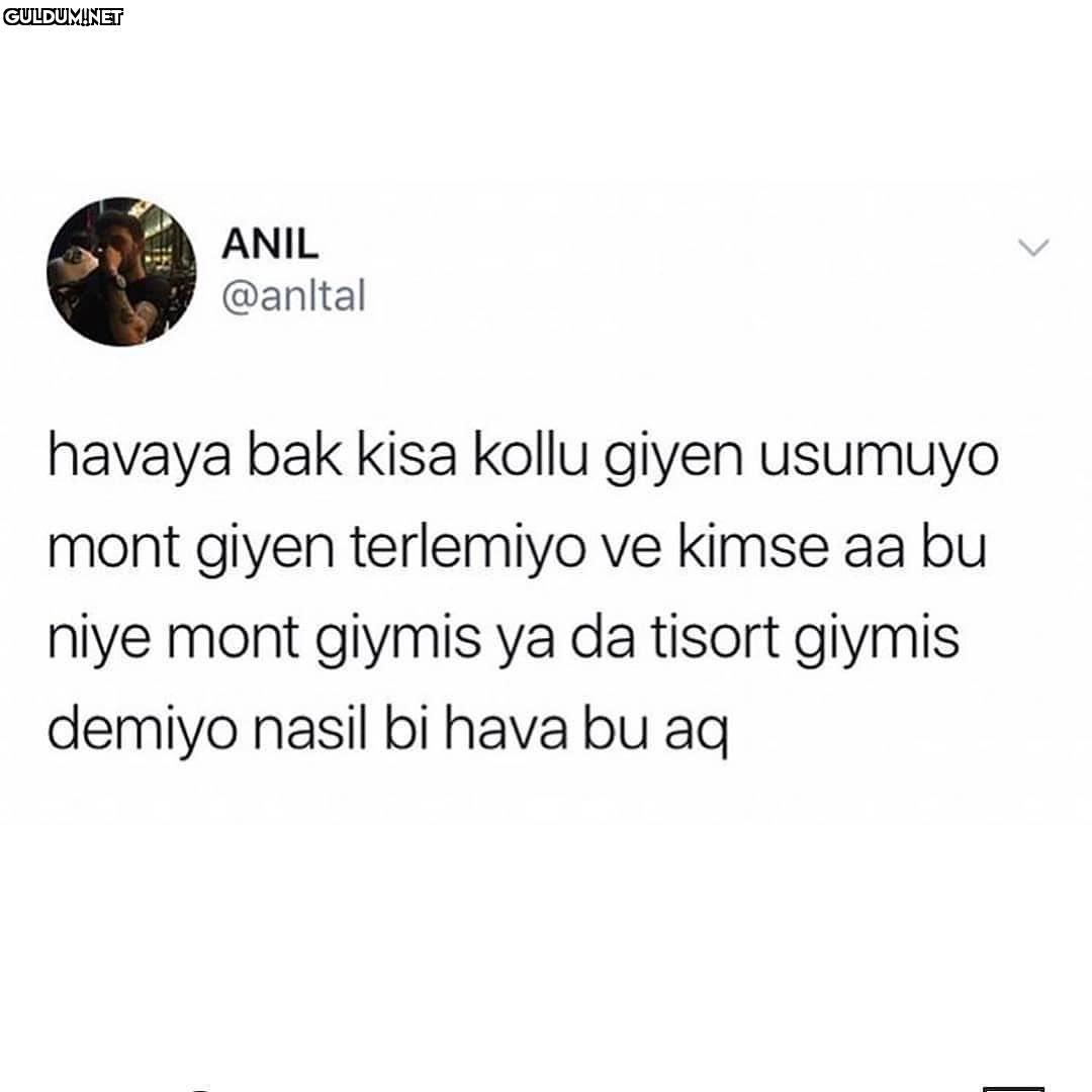 Cidden he ANIL @anltal...