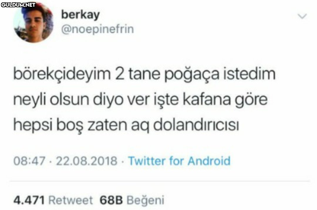berkay @noepinefrin...