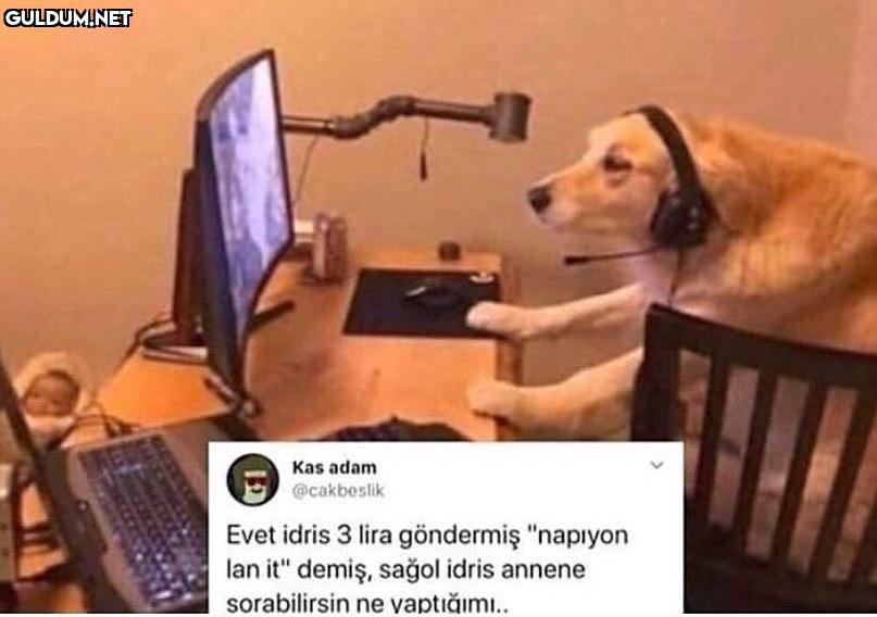 Biraz twitch izleyelim.....