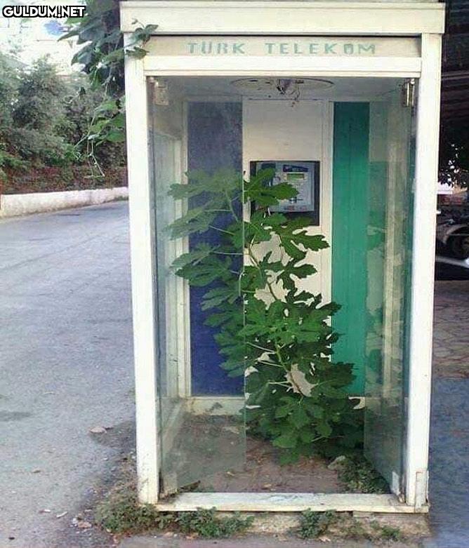 Telefonun başında çaresiz...