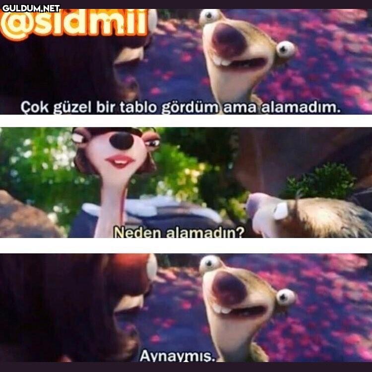 Ekshkshsnaba @sidmil Cok...