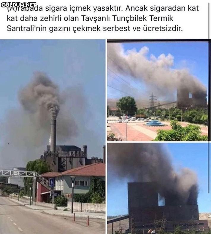 (A)rabada sigara içmek...