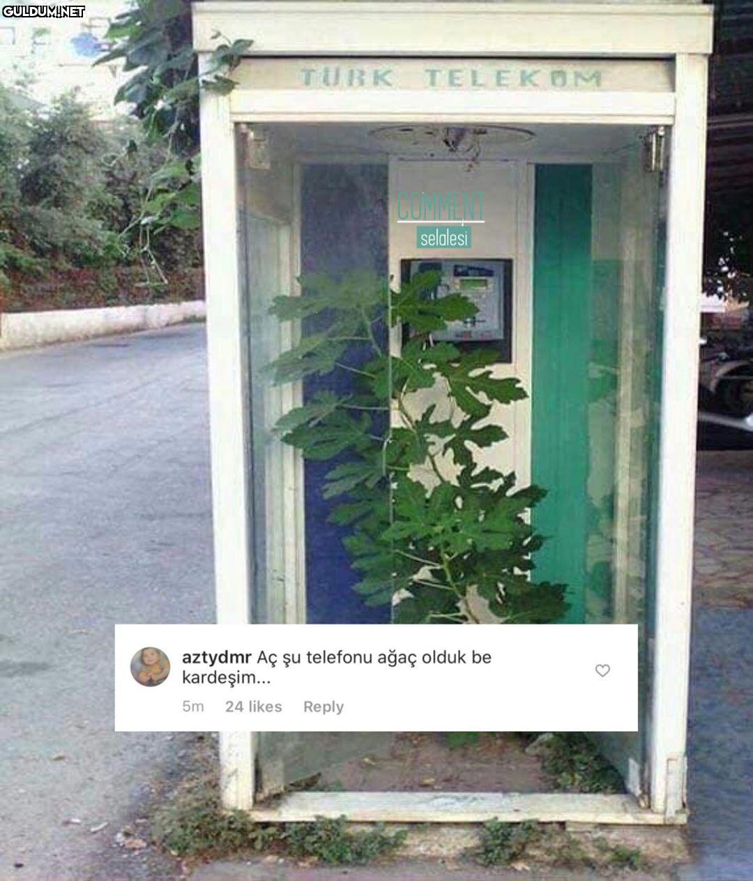 comment şelalesi 80011...
