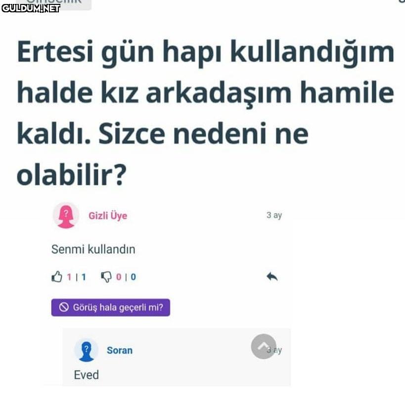 Masum...
