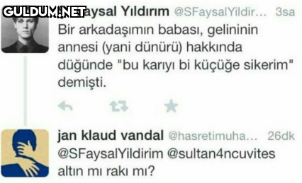 Ş. Faysal Yildirım...