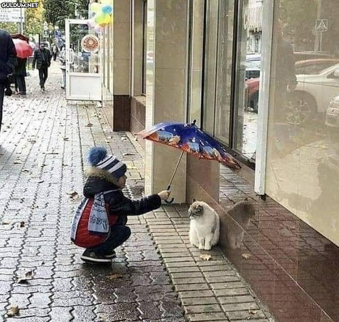 Günaydın ☺️