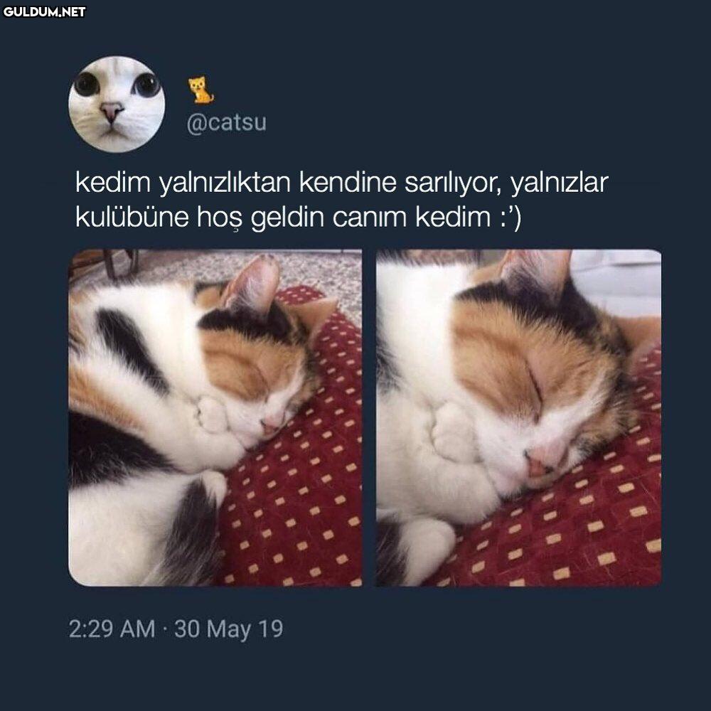 yazık laaaaan @catsu kedim...