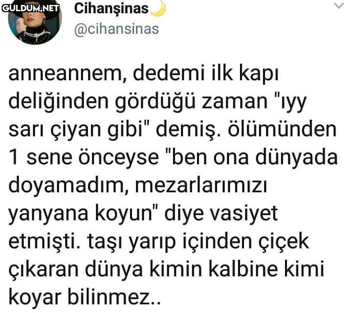 Cihanşinas @cihansinas...