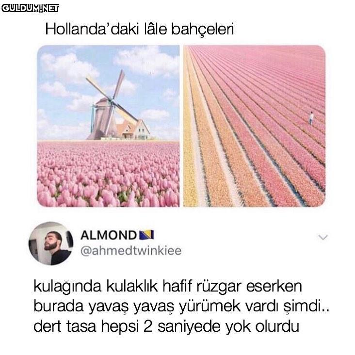 hayali bile tüy gibi...