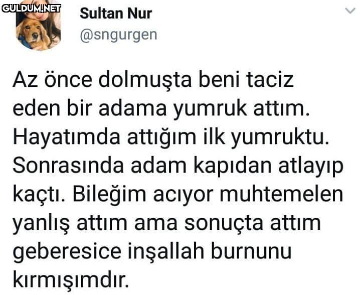 Sultan Nur @sngurgen Az...