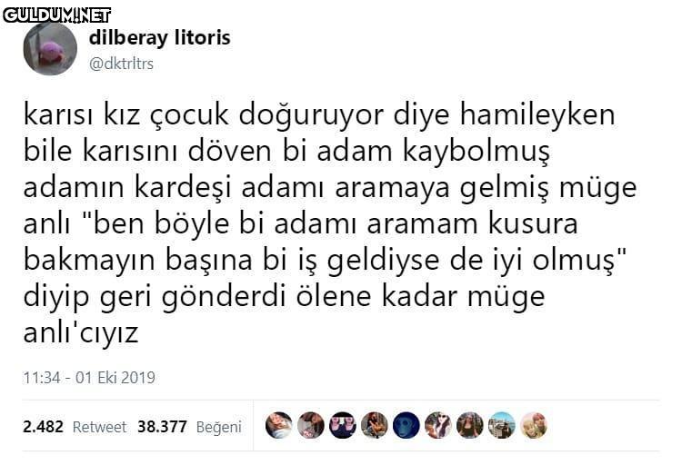 dilberay litoris @dktrltrs...