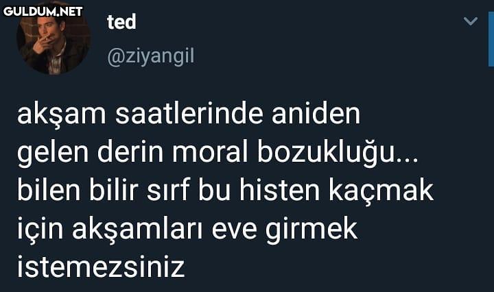 ted @ziyangil akşam...