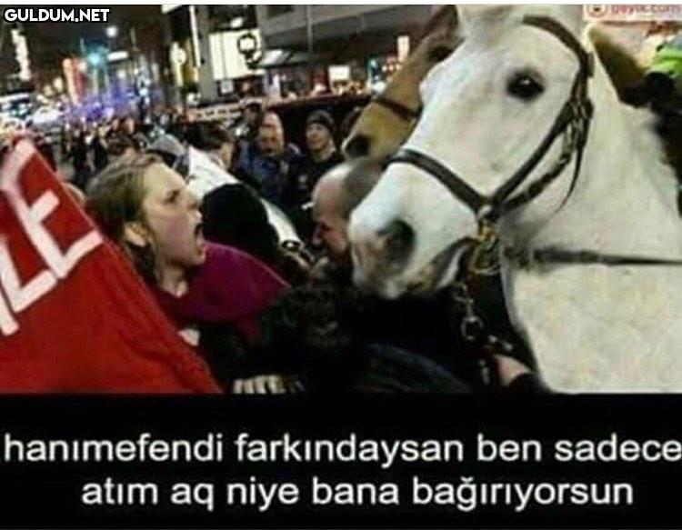 Sndnxndjdksksjsjsjsksk...