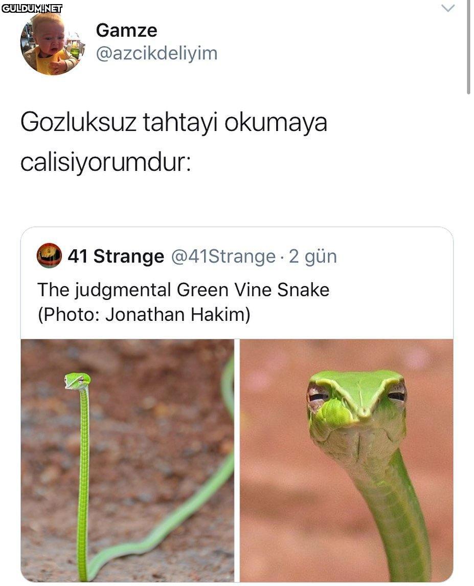 bunu sadece benim gibi...