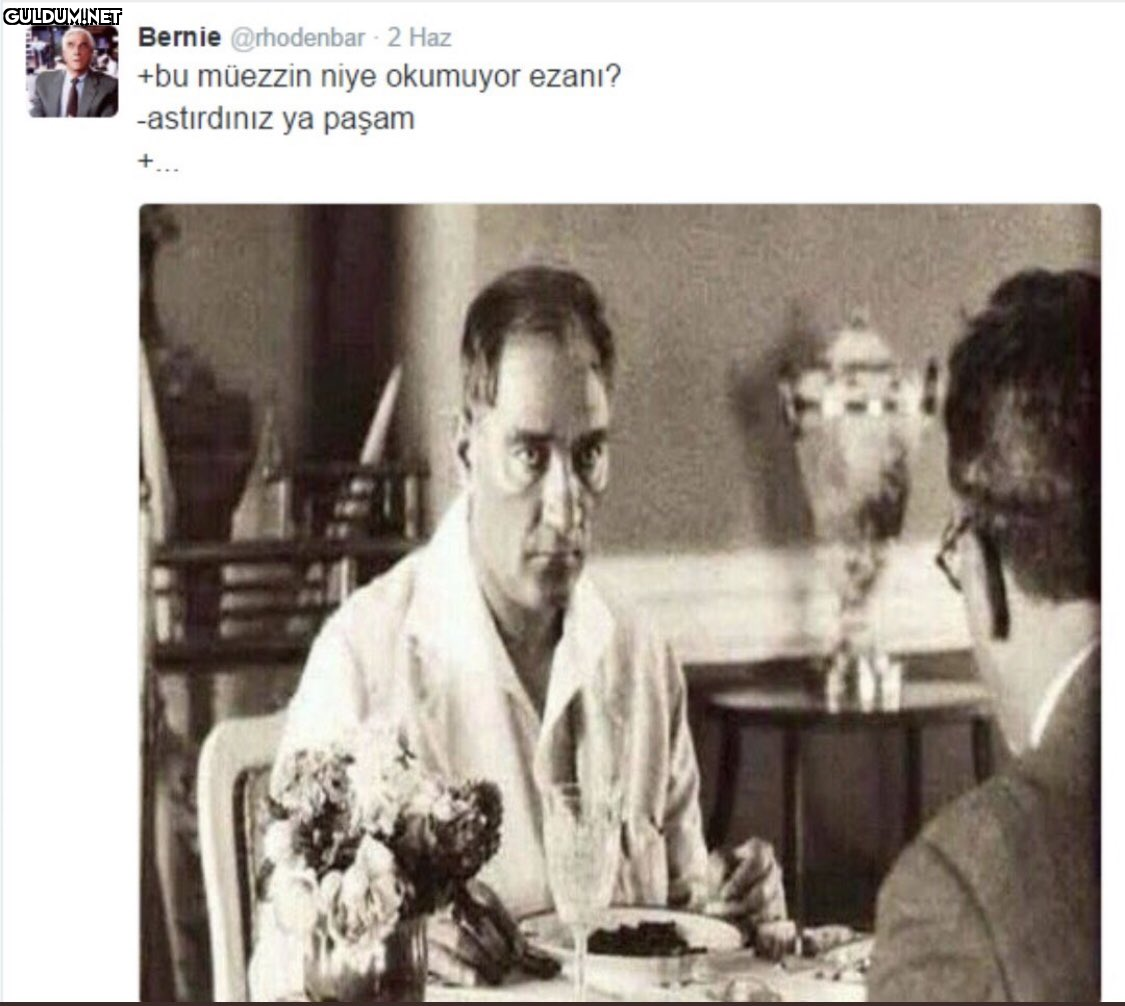 Bernie @rhodenbar 2 Haz...