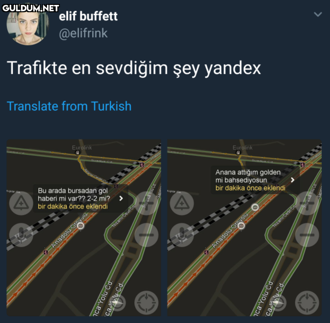 elif buffett @elifrink...