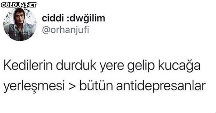 ciddi dwğilim @orhanjufi...
