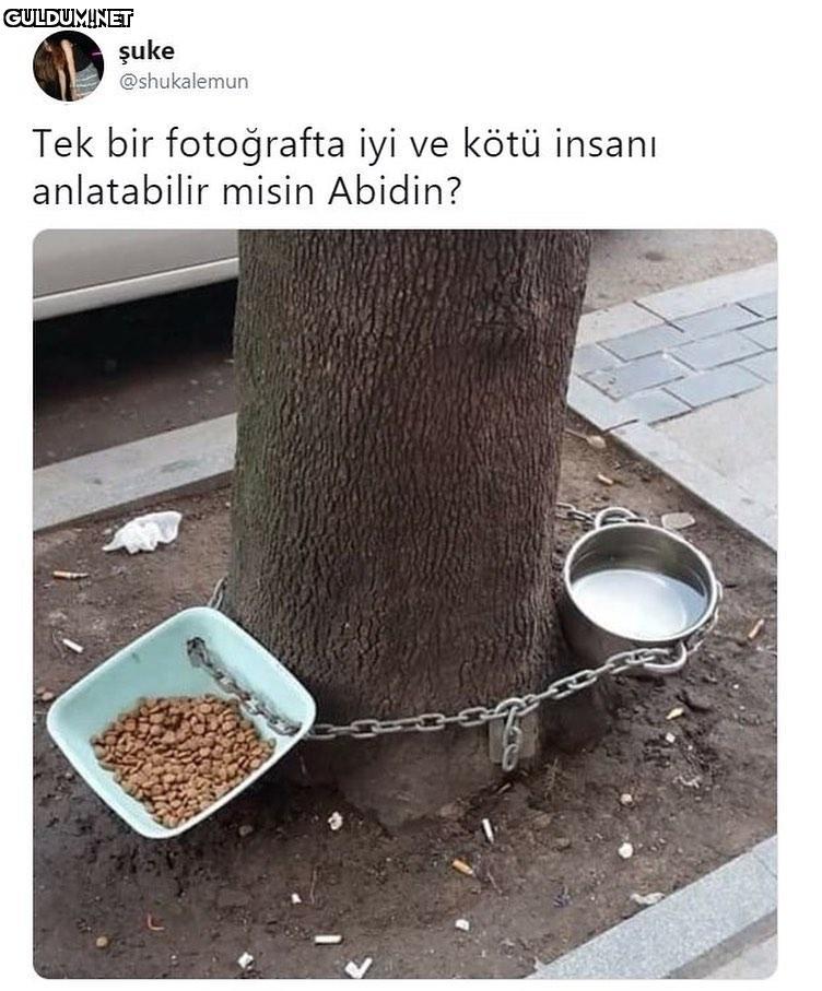 şuke @shukalemun Tek bir...