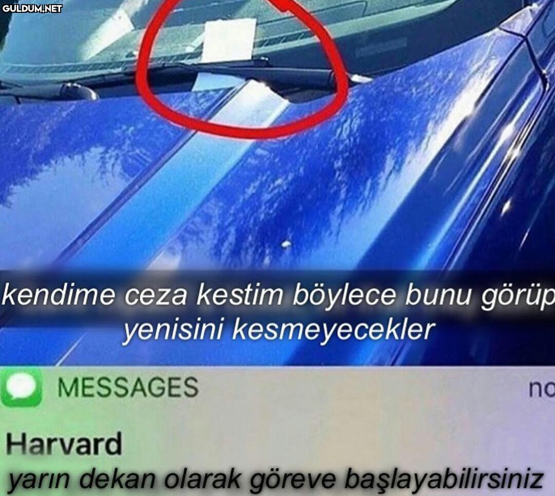 Şu an aşırı mantıklı...