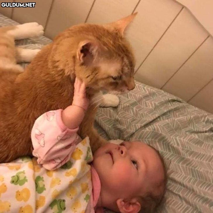 bir fotoğraf ne kadar hoş...