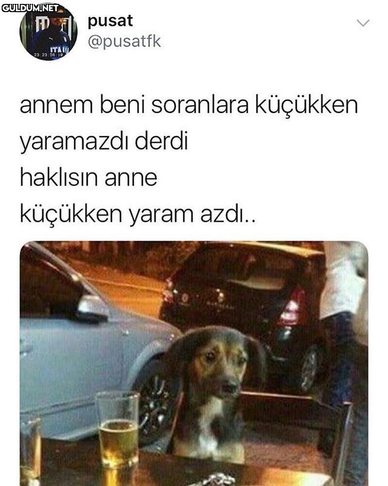 ah be köpüş pusat @pusatfk...