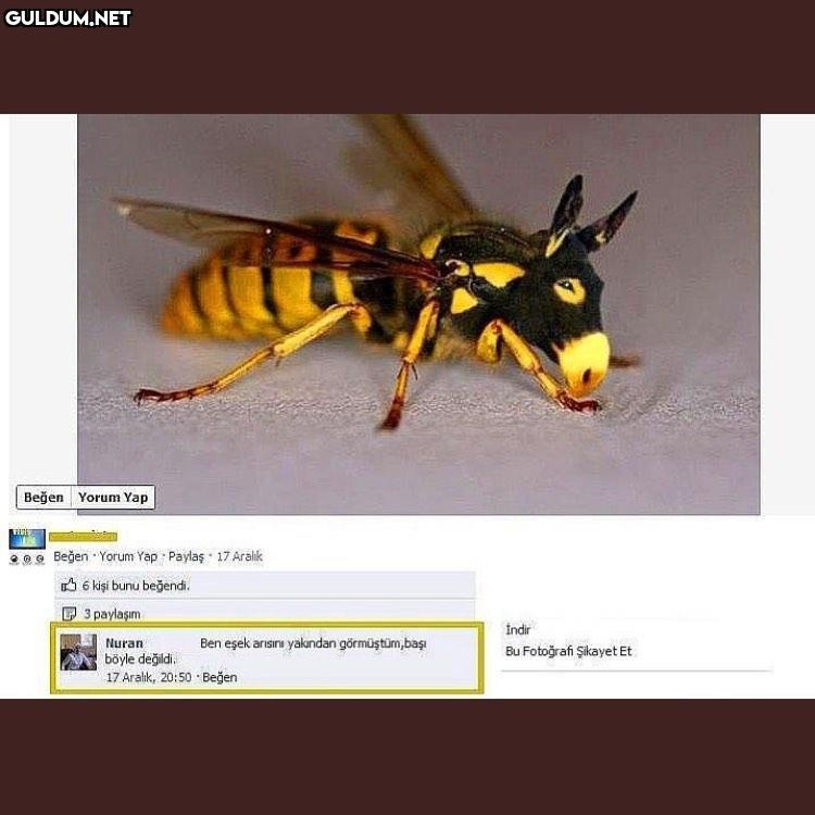 Reis o nasıl tespittir
Ben...