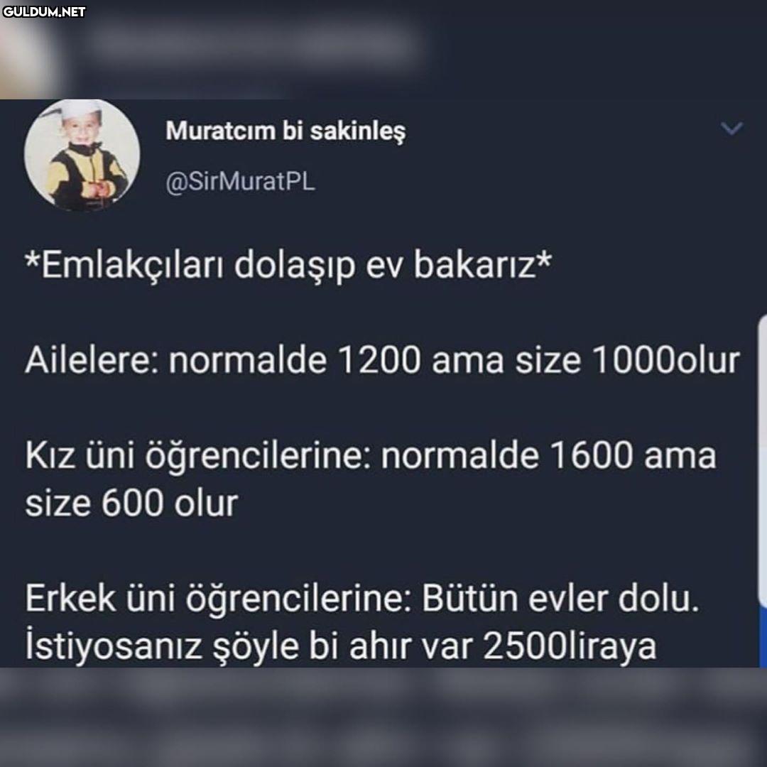 Muratcim bi sakinleş...