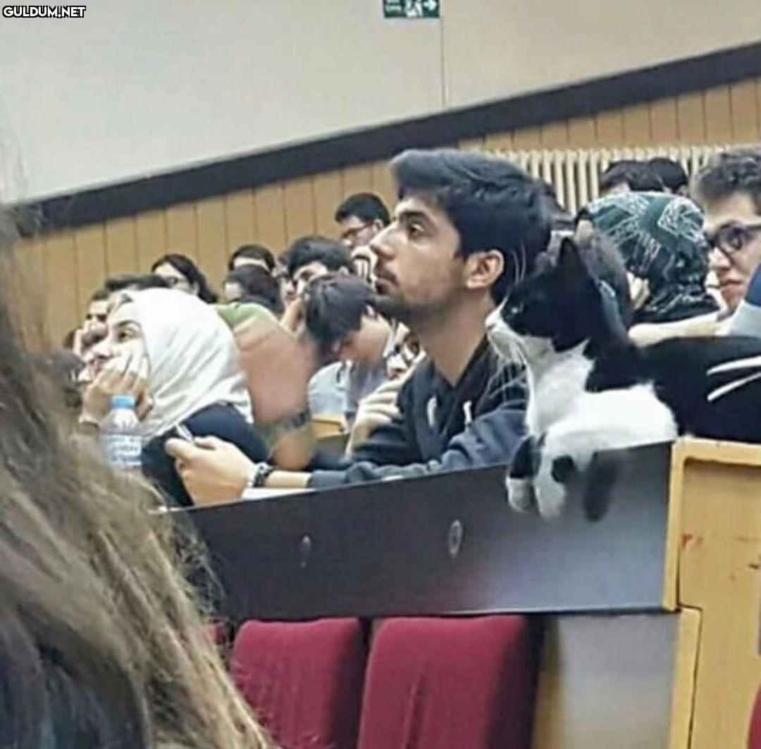 +Ya siktir git nasıl...