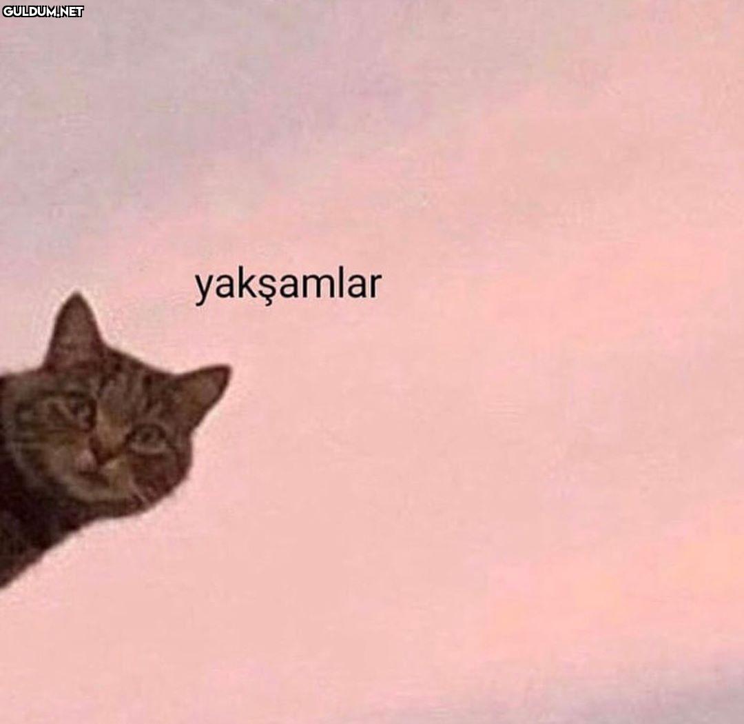 - yakşamlar 

+ sana da...