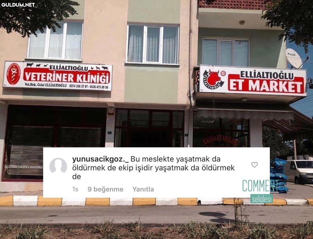 ELLIALTIOĞLU  VETERINER...