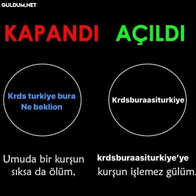 @krdsburaasiturkiye...