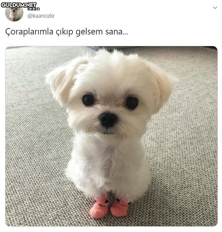 kaan @kaanozkr...