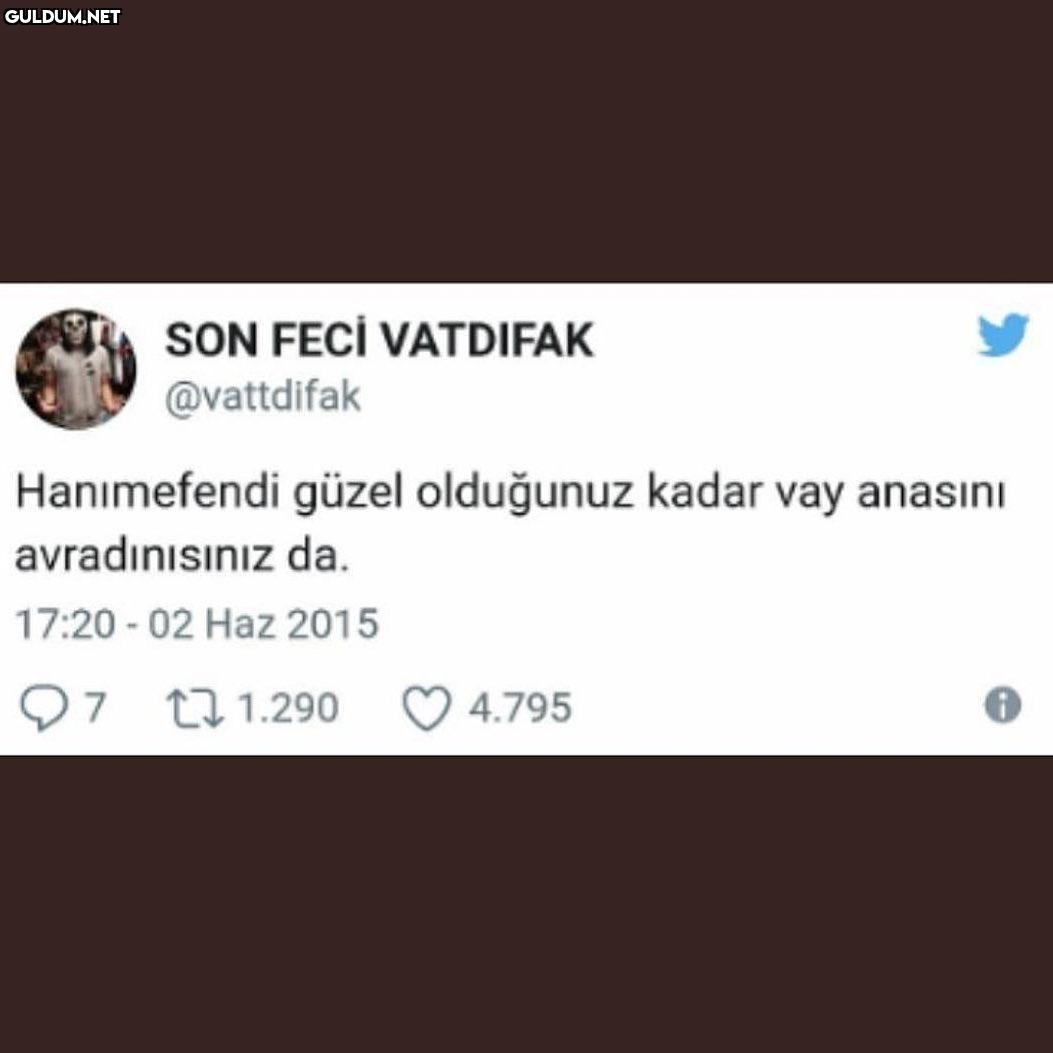 SON FECI VATDIFAK...