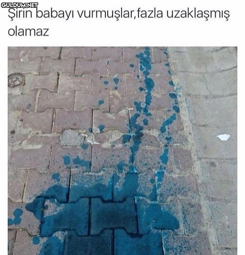 Şirine de yanında Şirin...