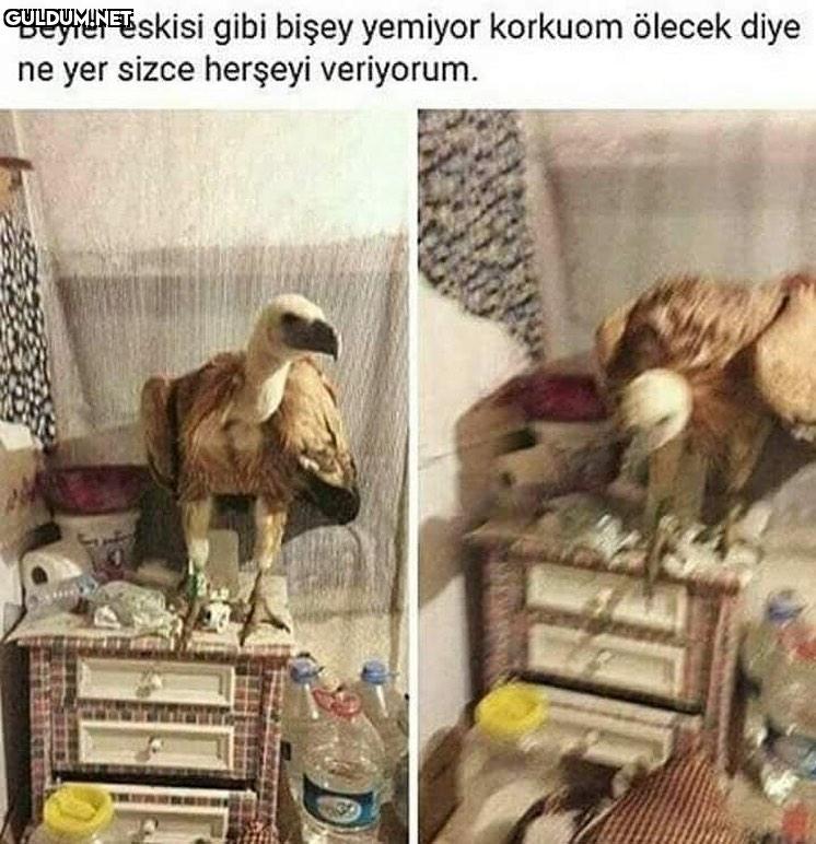 Senin ölmeni bekliyor...