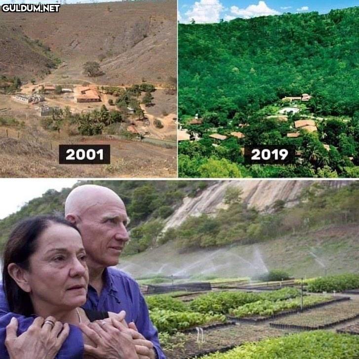 Çorak bir araziyi alıp 18...
